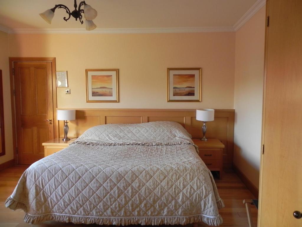 Hotel Shelmalier House Athlone Habitación foto
